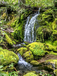 Special Places Waterfalls