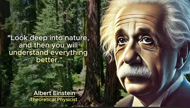 einstein graphic